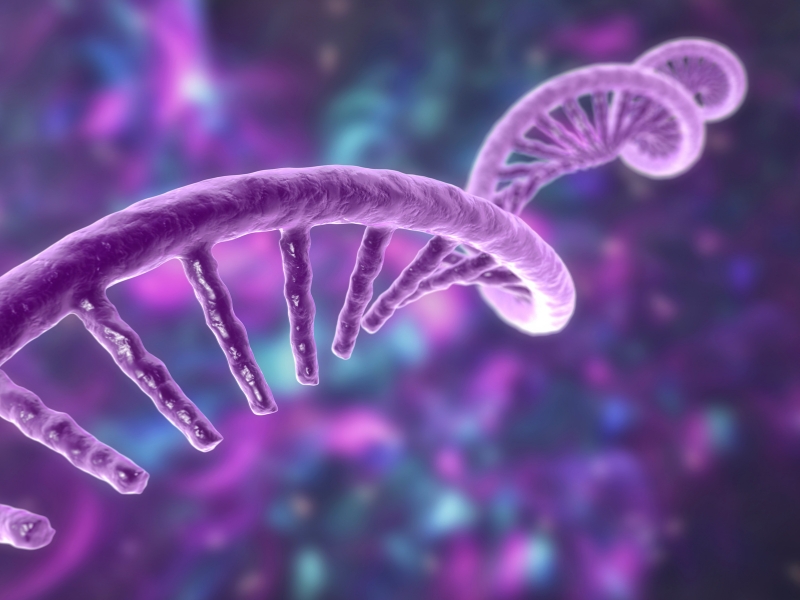 RNA Analysis Market Report Forecast 2023 To 2028