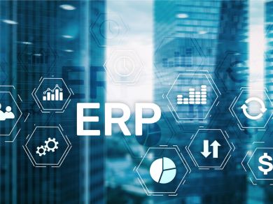 Global ERP Software Market - 2024-2029