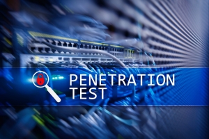 Explore the Penetration Testing Market: Offering, Position, Type, Method, Visibility, End User, and Geography - Global Forecast to 2029.